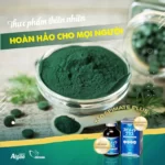 Tảo Spirulina Spimate Plus - Thực Phẩm Thiên Nhiên Hoàn Hảo Cho Mọi Người - 1Market.com.vn