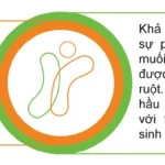 Men Vi Sinh Công Nghệ Bao Kép Thế Hệ Thứ 4 - 1Market.com.vn