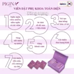 Công dụng Viên đặt phụ khoa Pigina (Set tối ưu 18 viên) chính hãng giá tốt - 1Market.com.vn