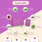 Thành Phần Viên đặt Pigina - 1Market.com.vn