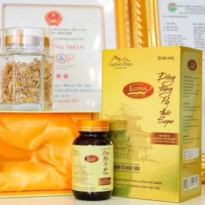 Viên Nang Đông Trùng Hạ Thảo Sapa 28 viên chính hãng giá tốt - Traphaco Sapa - 1Market.com.vn