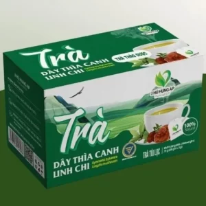 Trà Dây Thìa Canh Linh Chi AP Phú Hưng chính hãng giá tốt - 1Market.com.vn