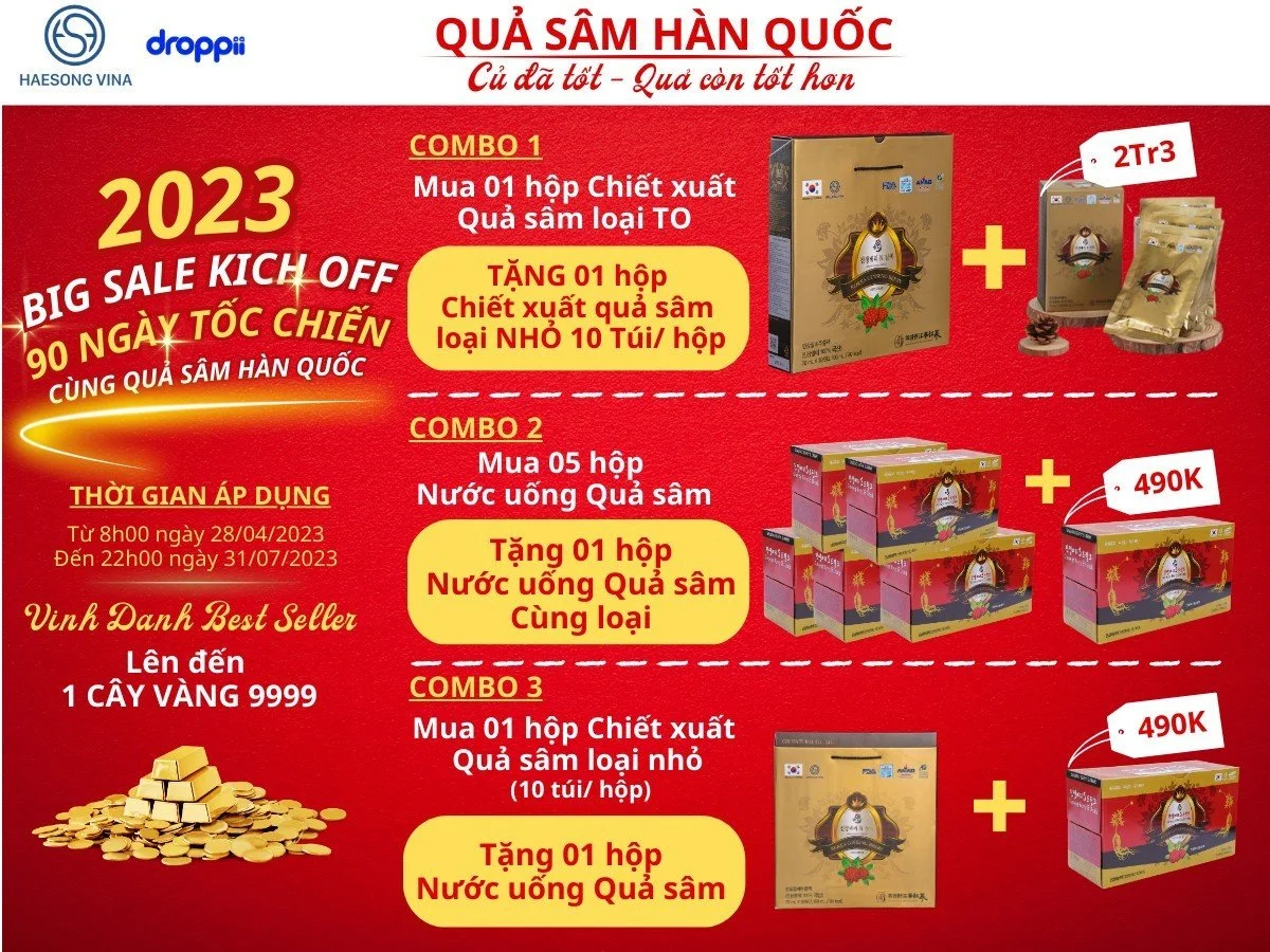 Khuyến mãi Chiết xuất Quả nhân sâm Hàn Quốc và Nước uống Quả nhân sâm Haesong Vina chính hãng giá tốt - 1market.com.vn