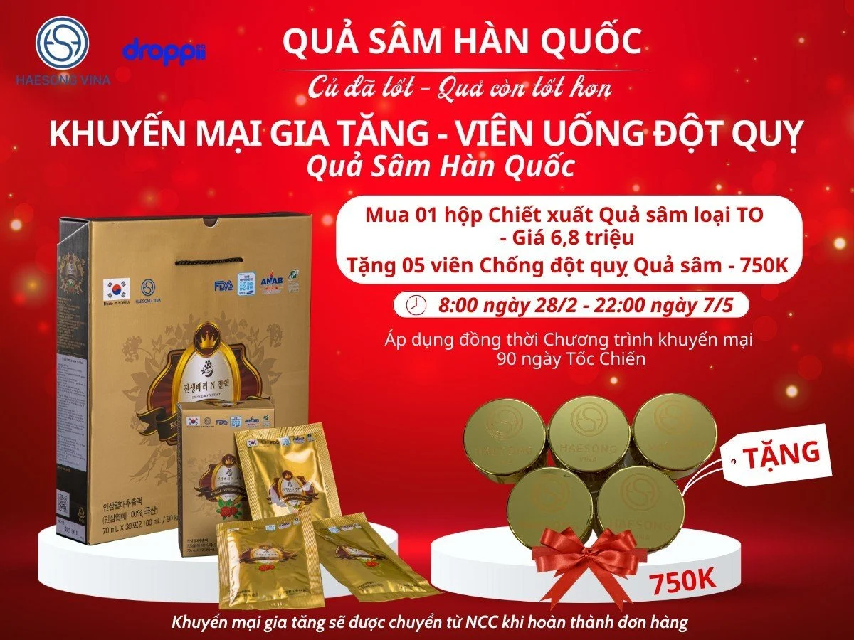 Khuyến mãi gia tăng mua Chiết xuất Quả nhân sâm Hàn Quốc tặng viên uống đột quỵ quả sâm Hàn Quốc Haesong Vina chính hãng giá tốt - 1market.com.vn