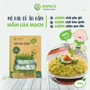 Mì Mầm Lúa Mạch Ăn Dặm Organic 300g Anpaso