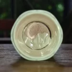 Bên Trong Tuýp Viên C Sủi Thế Hệ Mới Ester C - 1Market.com.vn