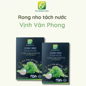 Rong Nho Tách Nước Vịnh Vân Phong - The Moshav Farm - 1Market.com.vn