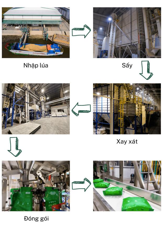 gvitt5crf7sbf9l2w0ap_wwblh5ylze_tl0iqylkxvrczshyrw2o6pmsjcwqds2kk-wbvnzkihhffifzlm3edangvtax7_e1mzb_ogxz8r1rvswxgvjxa9rcay-prrn7ir4541iiw0oi1jjvpwvwja Quy trình đóng gói túi Gạo lúa vịt ST25