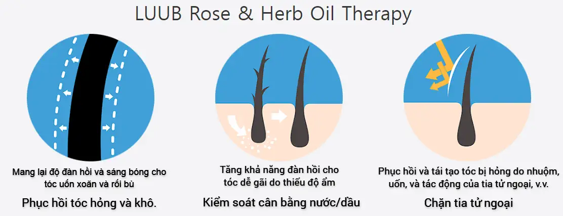 Liệu Pháp Tinh Dầu Hoa Hồng Và Thảo Mộc Trong Xịt Dưỡng Tóc Luub Q10 - 1market.com.vn