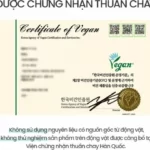 Chứng Nhận Thuần Chay Của Kem Dưỡng Phục Hồi Da Beyond Angel Aqua Cica Cream Vegan Formula - 1Market.com.vn