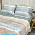 Combo Vỏ Mền Và Vỏ Gối Tencel 60s Mẫu Cầu Vồng - Tân Phát - 1Market.com.vn