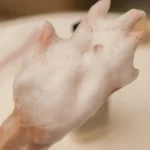 Tạo Bọt Sữa Tắm Dưỡng ẩm Beyond Deep Moisture Creamy Body Wash - Lg Vina - 1Market.com.vn