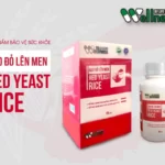 Gạo đỏ Lên Men Red Yeast Rice - 1Market.com.vn