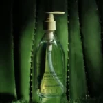 Shirley Curly Tea Tree Aloe Vera Gel 300ml - Trà Xanh Tràm Trà - 1Market.com.vn