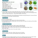 Thông Tin Thực Phẩm Hỗ Trợ Gout Urica Ligi - 1Market.com.vn