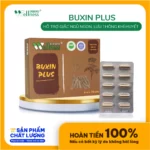 Thực Phẩm Bổ Khí Huyết Buxin Plus - 1Market.com.vn