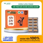 Thực Phẩm Giảm đau Xương Khớp Hou Lou Dan - 1Market.com.vn