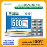 Thực Phẩm Làm Chậm Thoái Hóa Khớp Glucosamine 500 Life Gift - 1Market.com.vn