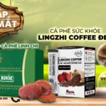 Hộp Quà Tặng Cà Phê Sức Khỏe Lingzhi Coffee - Life Gift Vn - 1Market.com.vn