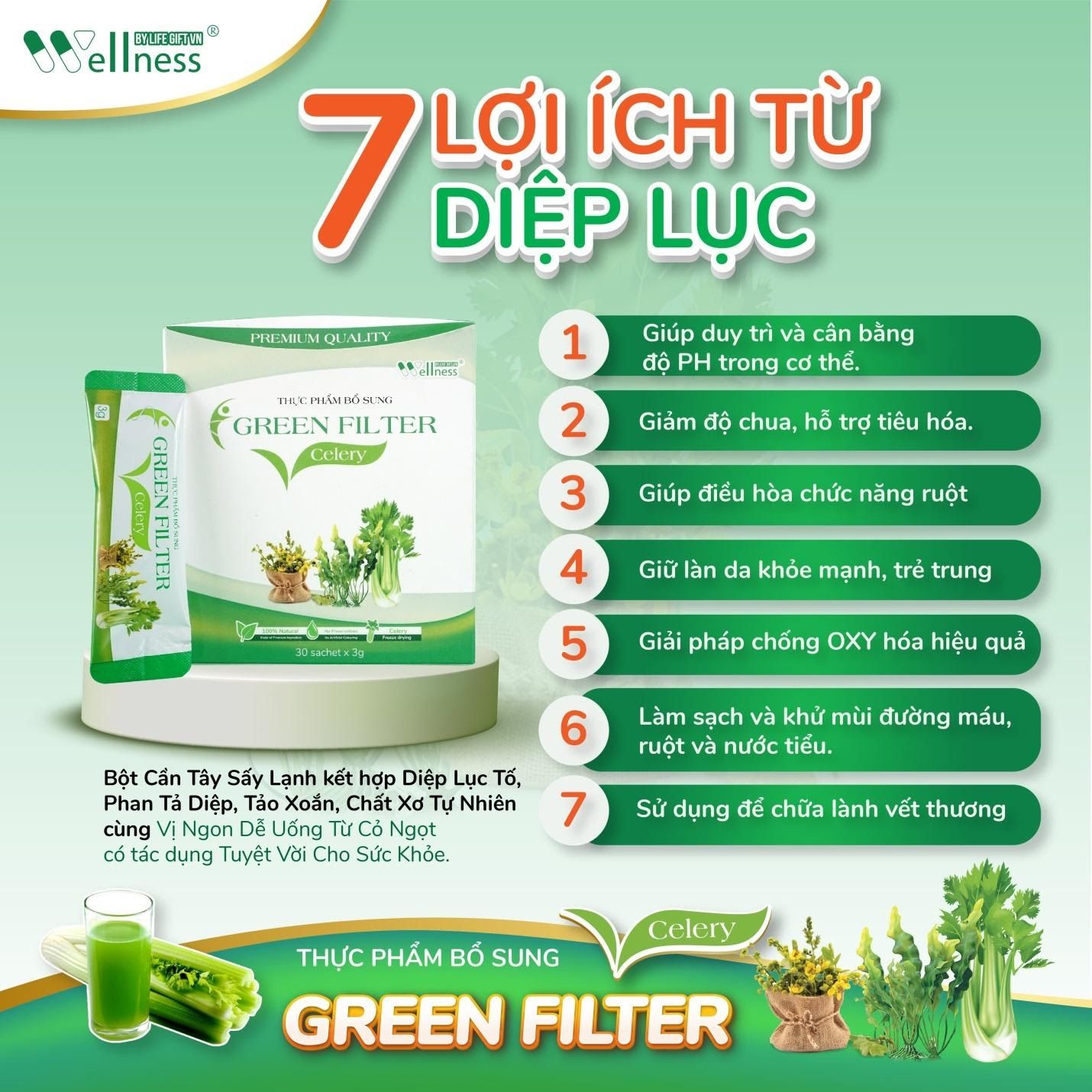 7 lợi ích từ Diệp lục - Thực phẩm bổ sung bột Cần tây – diệp lục Green Filter Celery – 1market.com.vn