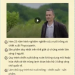 Algosource, France - Nhà Sản Xuất Tại Pháp